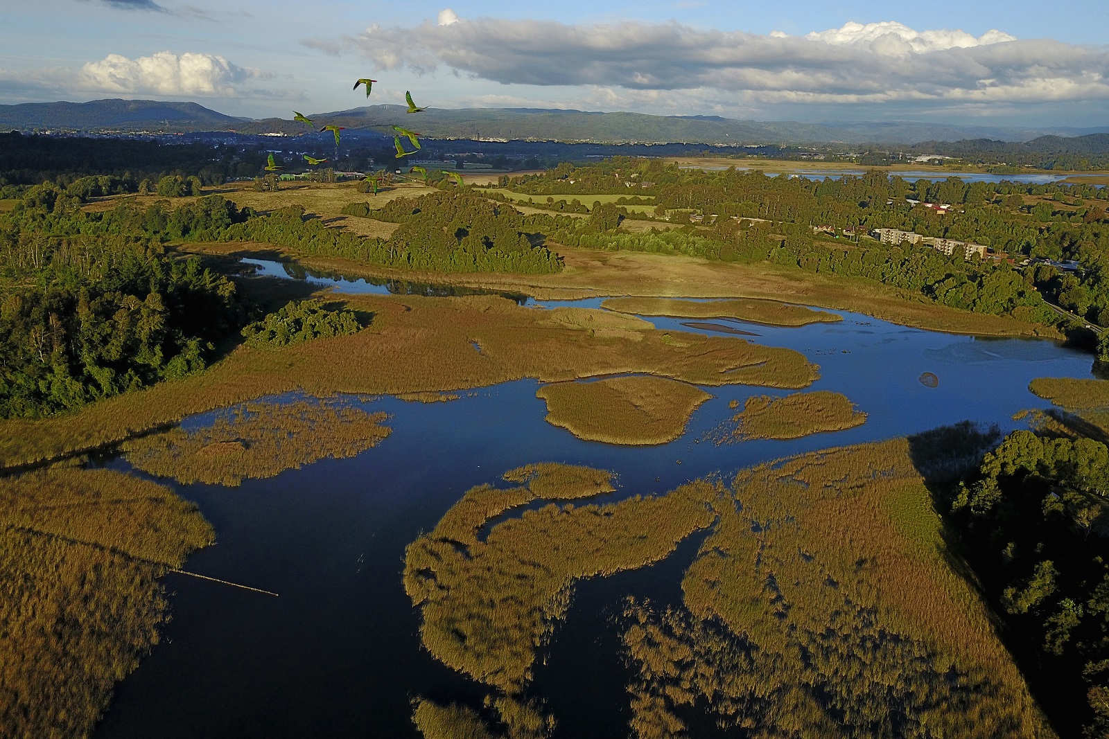 - Entre las tareas de Chile se cuenta seguir avanzando en la conservación marina en sitios poco representados, como zonas costeras de la Patagonia, entre las que destaca Isla Guafo, al sur de Chiloé. (©Marcelo FLORES/WWF Chile).