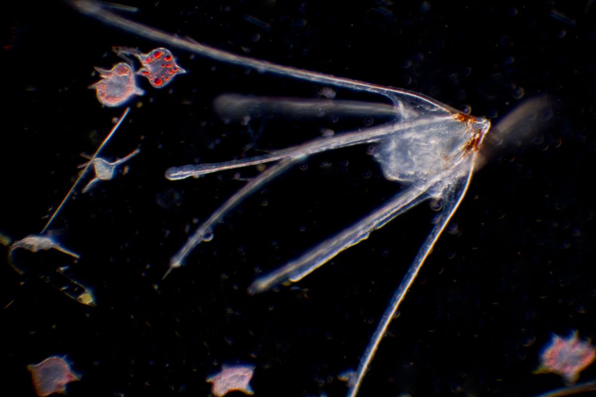 Blog nos mojamos. Manel González