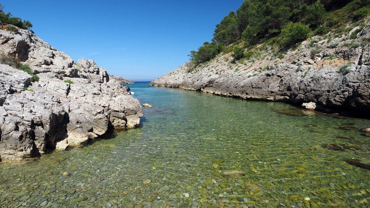 Snorkel