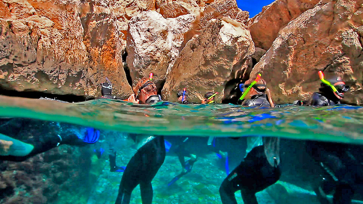 Snorkel