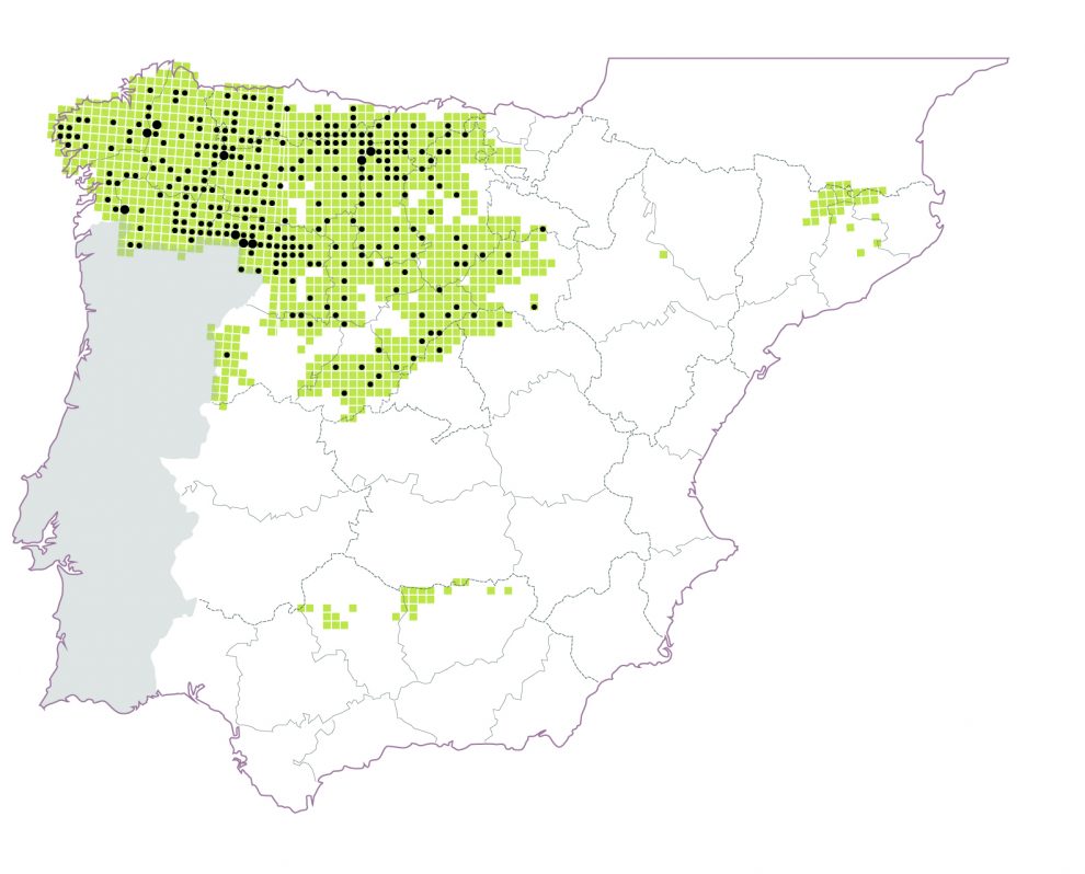 Censo Nacional 2012 -2014: Pie: Distribución del lobo en España y manadas del censo nacional 2012-2014 (297 manadas en UTM 10x10 km). Punto grueso: 2 manadas. Cuadrículas sombreadas: área de distribución confeccionada en el marco del censo nacional realizado por las distintas comunidades autónomas, con información adicional para Cataluña y Aragón.