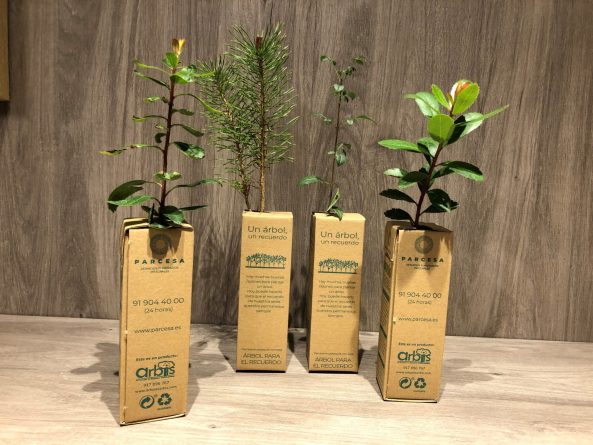 Árboles para el recuerdo