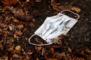 Los imprevistos daños y beneficios de la naturaleza,depués de la pandemia