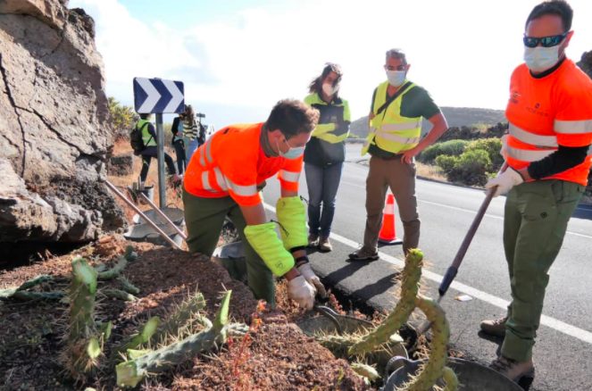 Cabildo de El Hierro forma a su personal para erradicar especies invasoras
