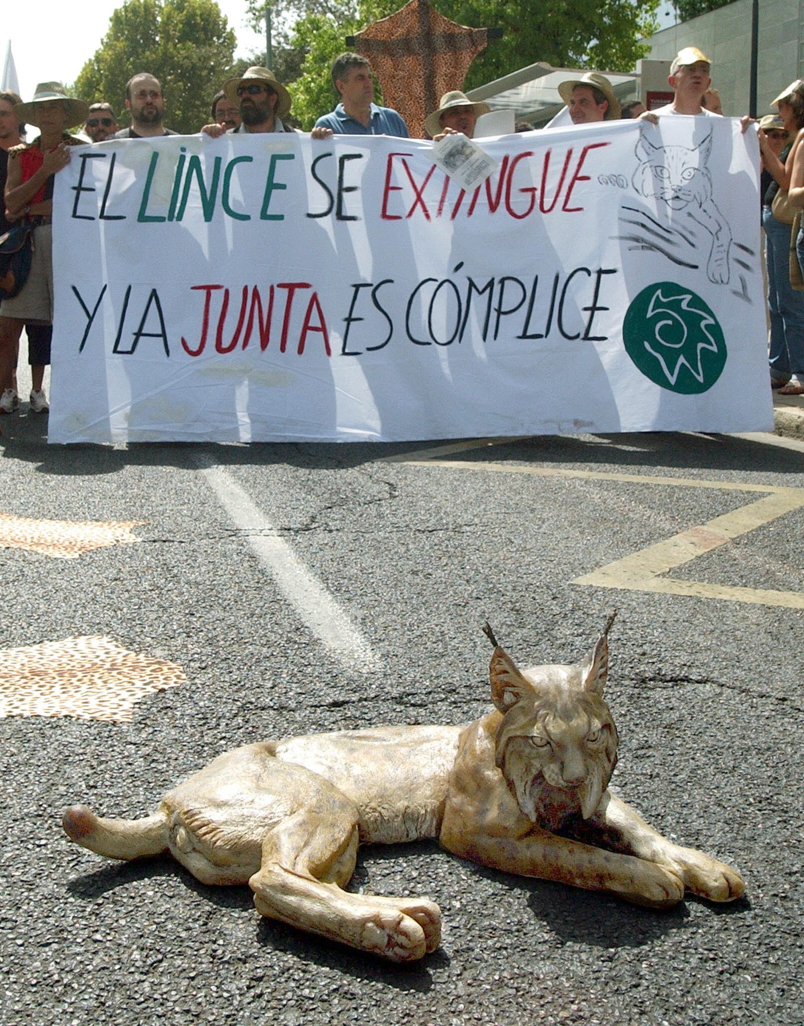 Reproducción a escala real de un lince ibérico durante una concentración contra los atropellos, frente a la Consjeria de Medio Ambiente en Sevilla. EFE/Julio Muñoz
