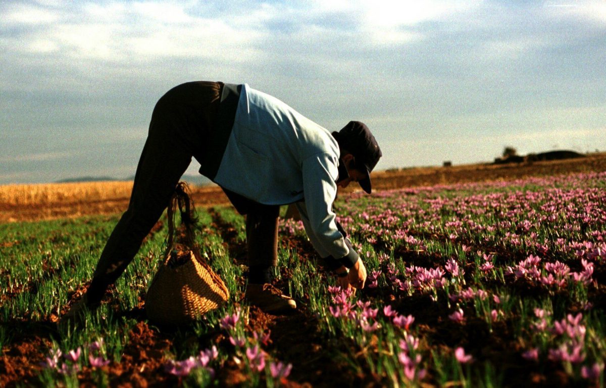 Los consumidores demandan equilibrio entre conservación y protección. EFE/ Manuel Ruiz Toribio