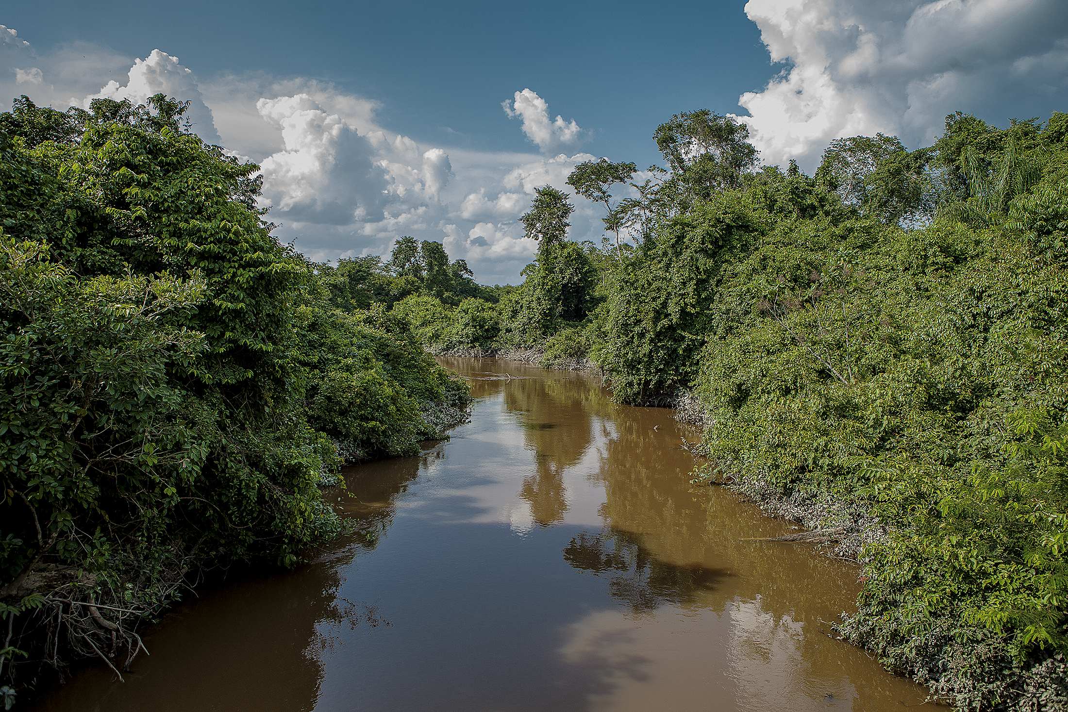 Deforestación amenaza la venta indígena de créditos de carbono en Brasil