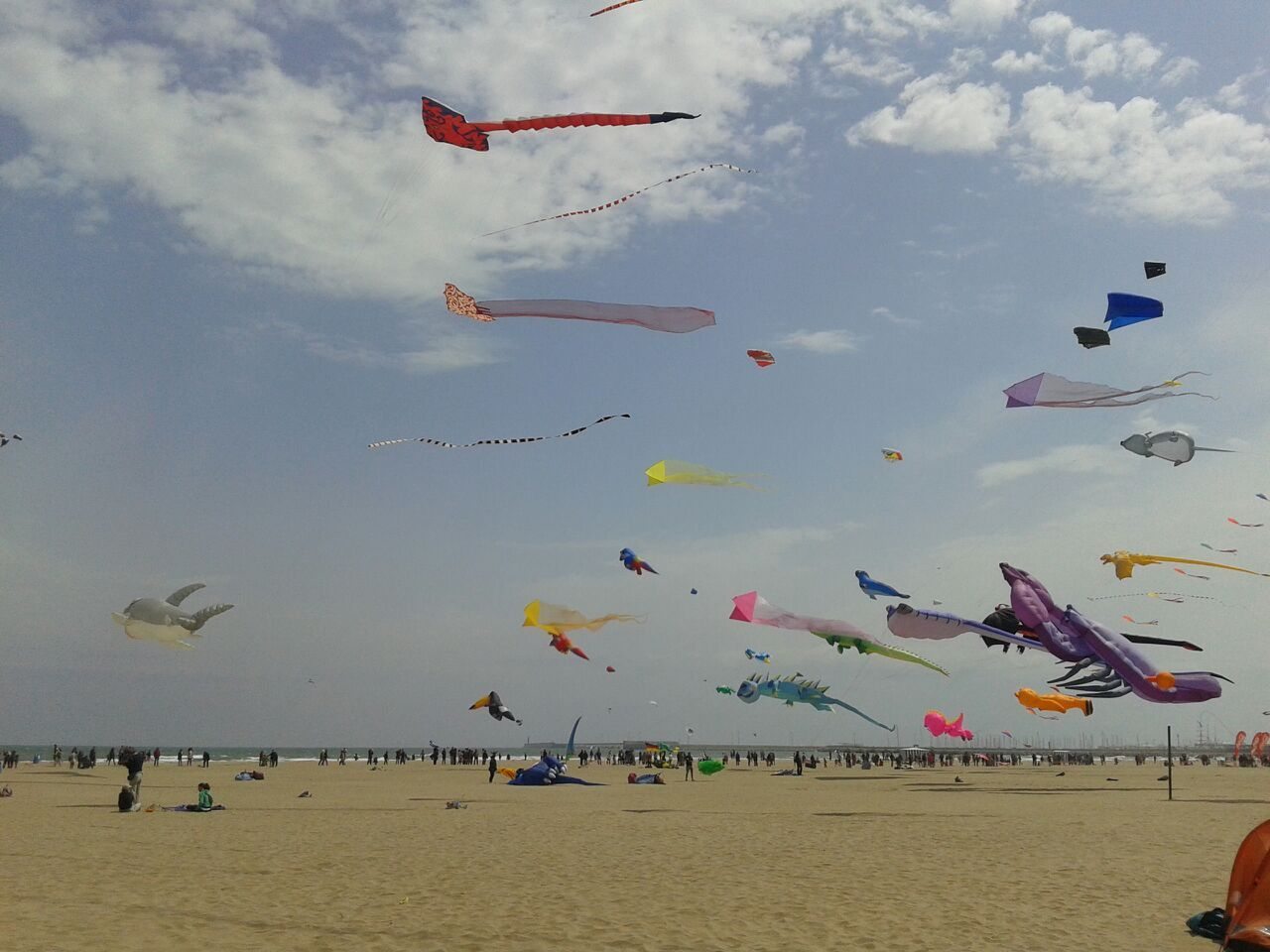 Viento. Cometas. Maria Verdú para EFEverde.com