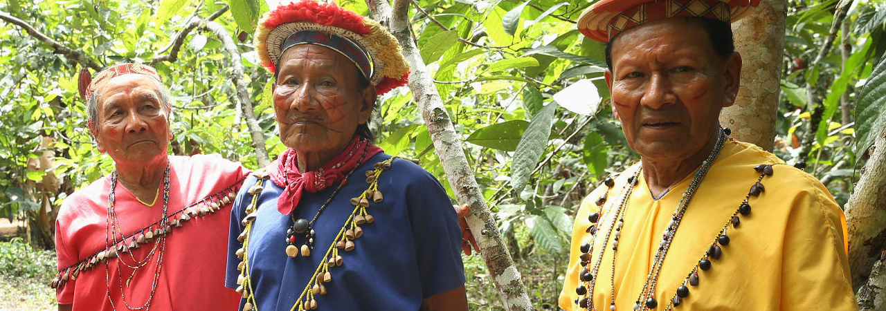 COVID 19 en indígenas de Ecuador. Miembros de la nacionalidad siekopai en territorio ancestral siekopai, Amazonia ecuatoriana. Foto Amazon Frontlines y Alianza Ceibo.