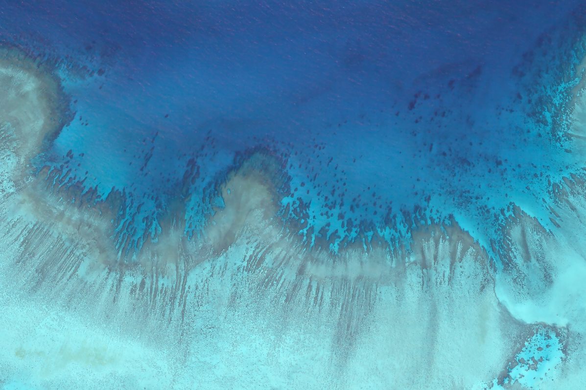 Arrecifes coralinos / Imagen cedida Planet