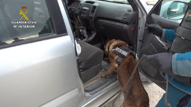 El Seprona de la Guardia Civil investiga a 28 personas por el uso de cepos ilegales y cebos envenenados en animales y ha localizado 120 ejemplares muertos