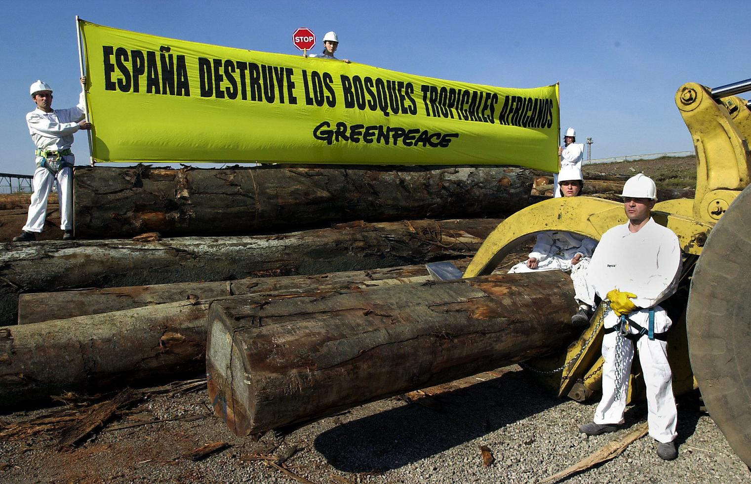 Imagen de archivo de activistas de Greenpeace protestando contra la deforestación de selvas tropicales. EFE/Alberto Estévez.