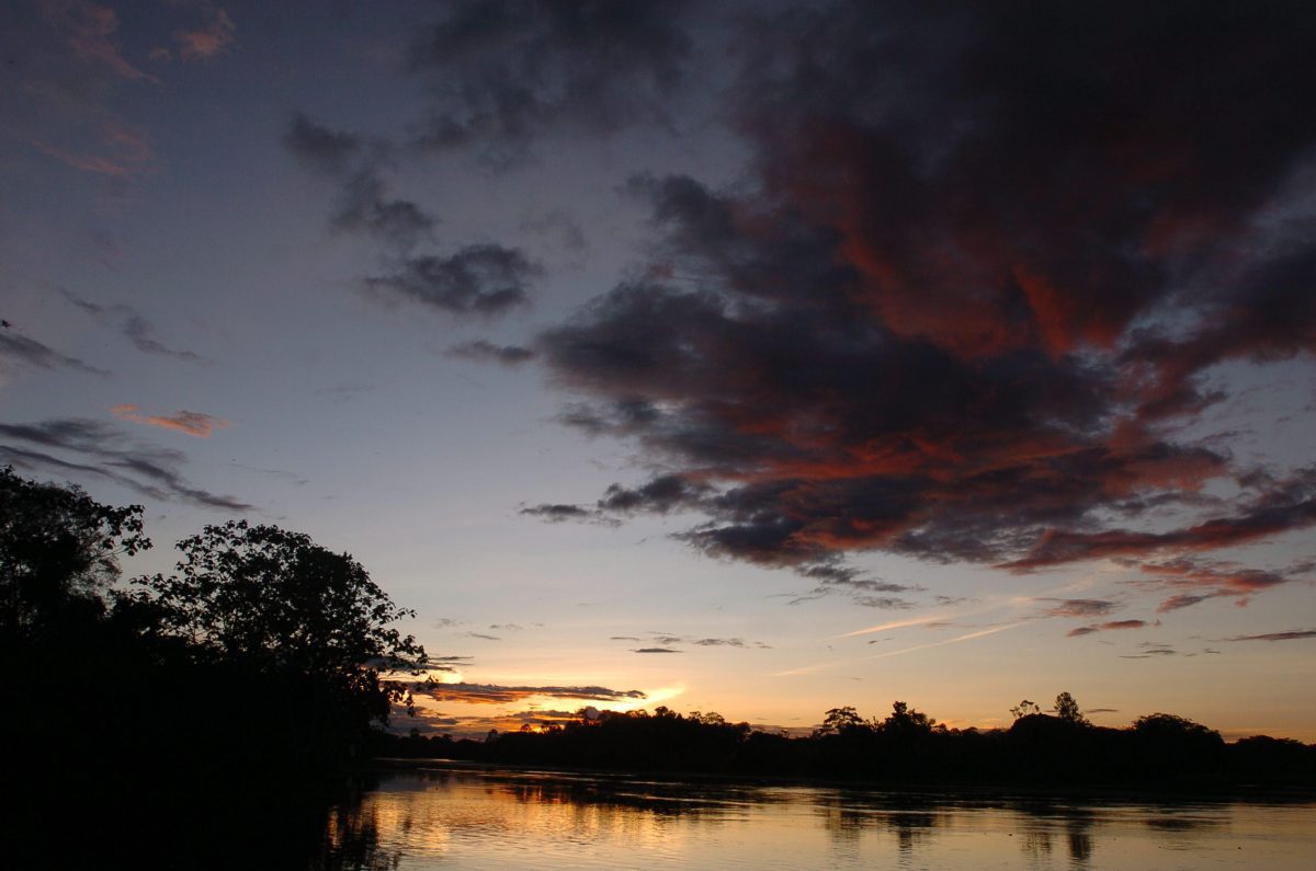 Amazonía Perú