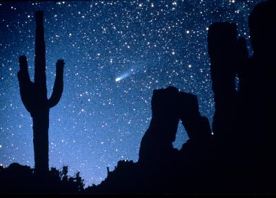 Noche estrellada en el desierto de Arizona. EFE/SIPA PRESS/FRANK ZULLO/jgb