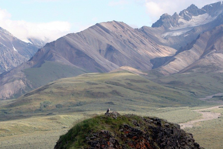 Parque Nacional de Denali en Alaska.