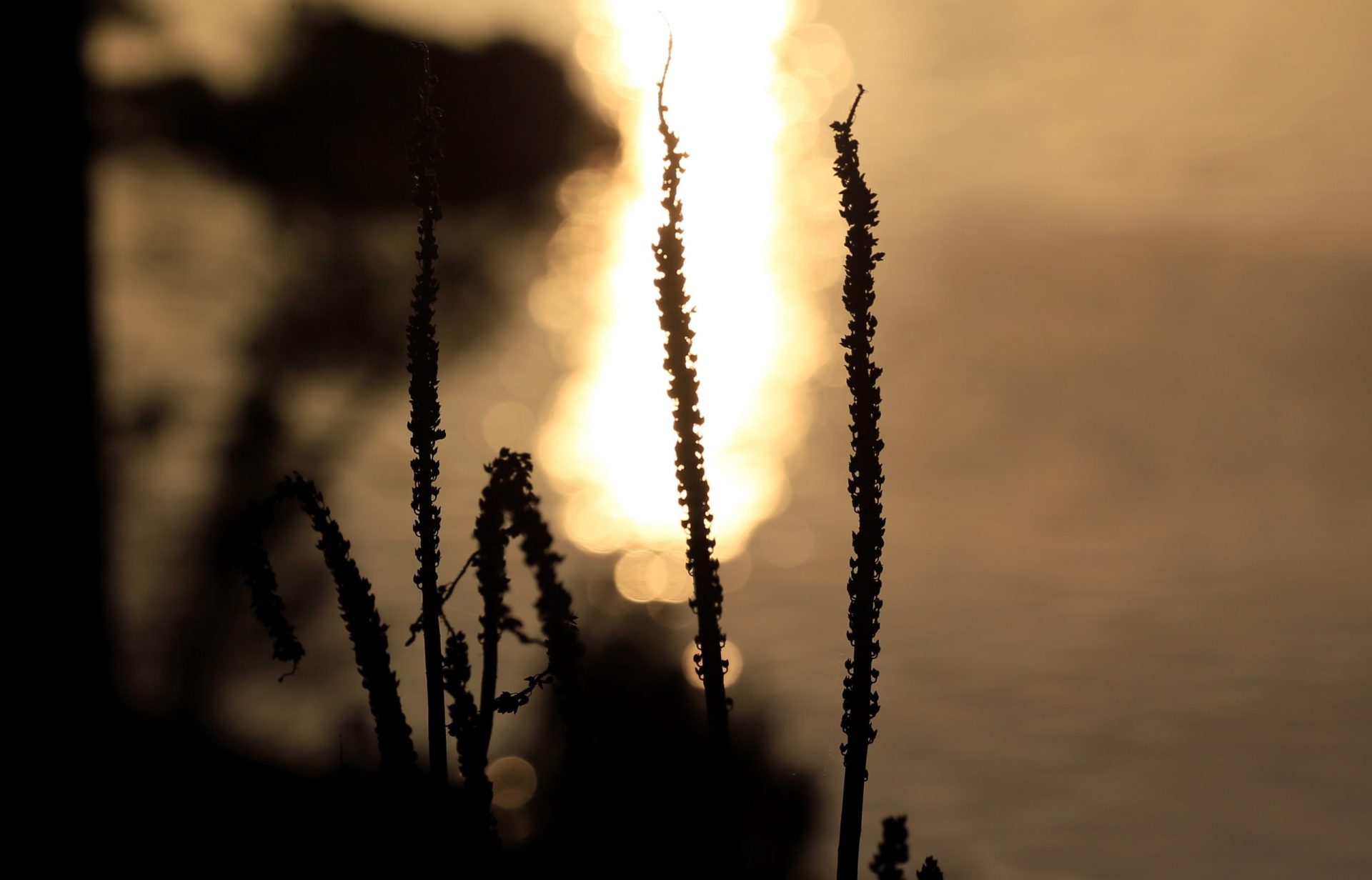 dia tierra naturaleza