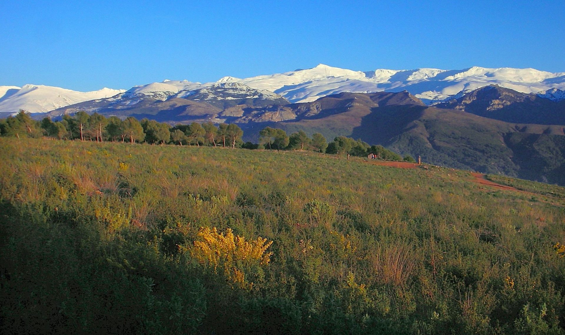 Vista panorámica de Sierra Nevada, uno de los ecosistemas más valiosos de España que está protegido por sendas declaraciones de parque nacional y natural. EFE/Alfredo Martínez