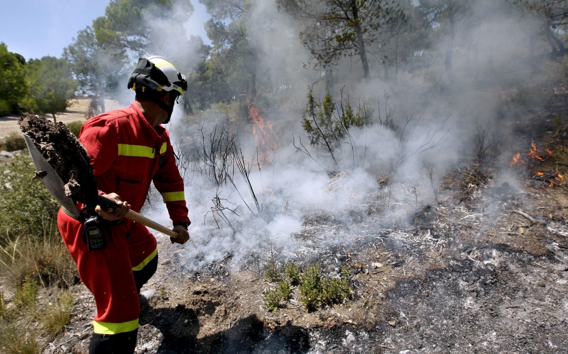 Incendio forestal en Zaragoza.