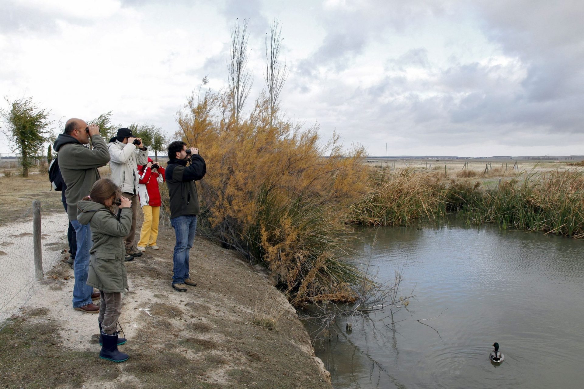 Un grupo de aficionados al avistamiento de aves en la laguna de El Oso en Ávila.