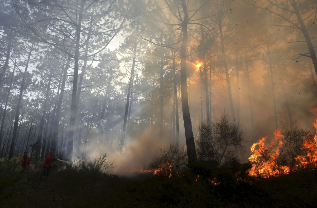 Portugal incendios 10
