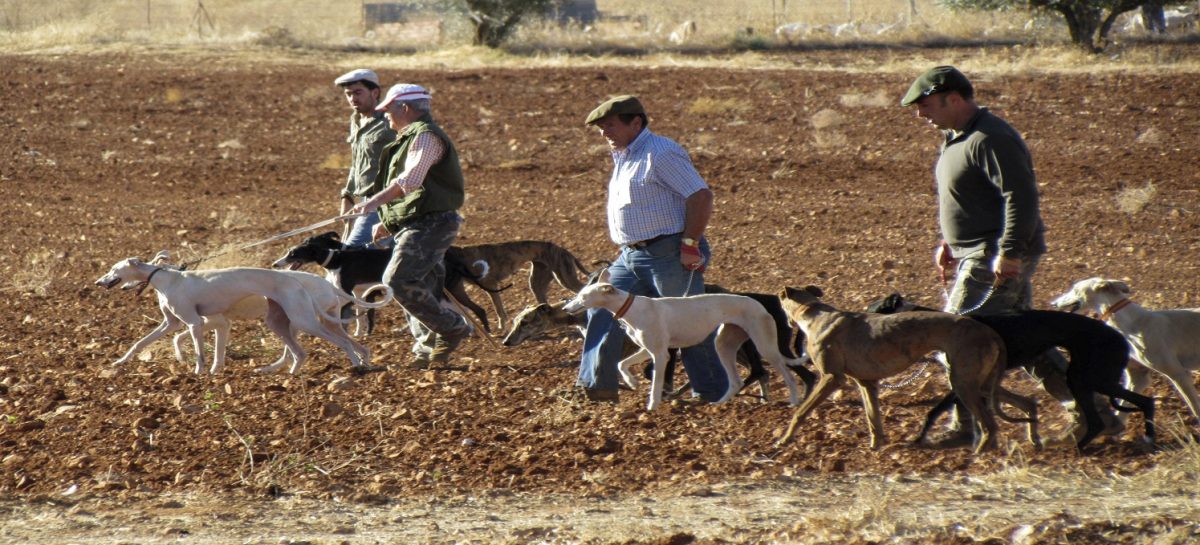 Un grupo de galgueros durante una jornada de caza. EFE/Beldad