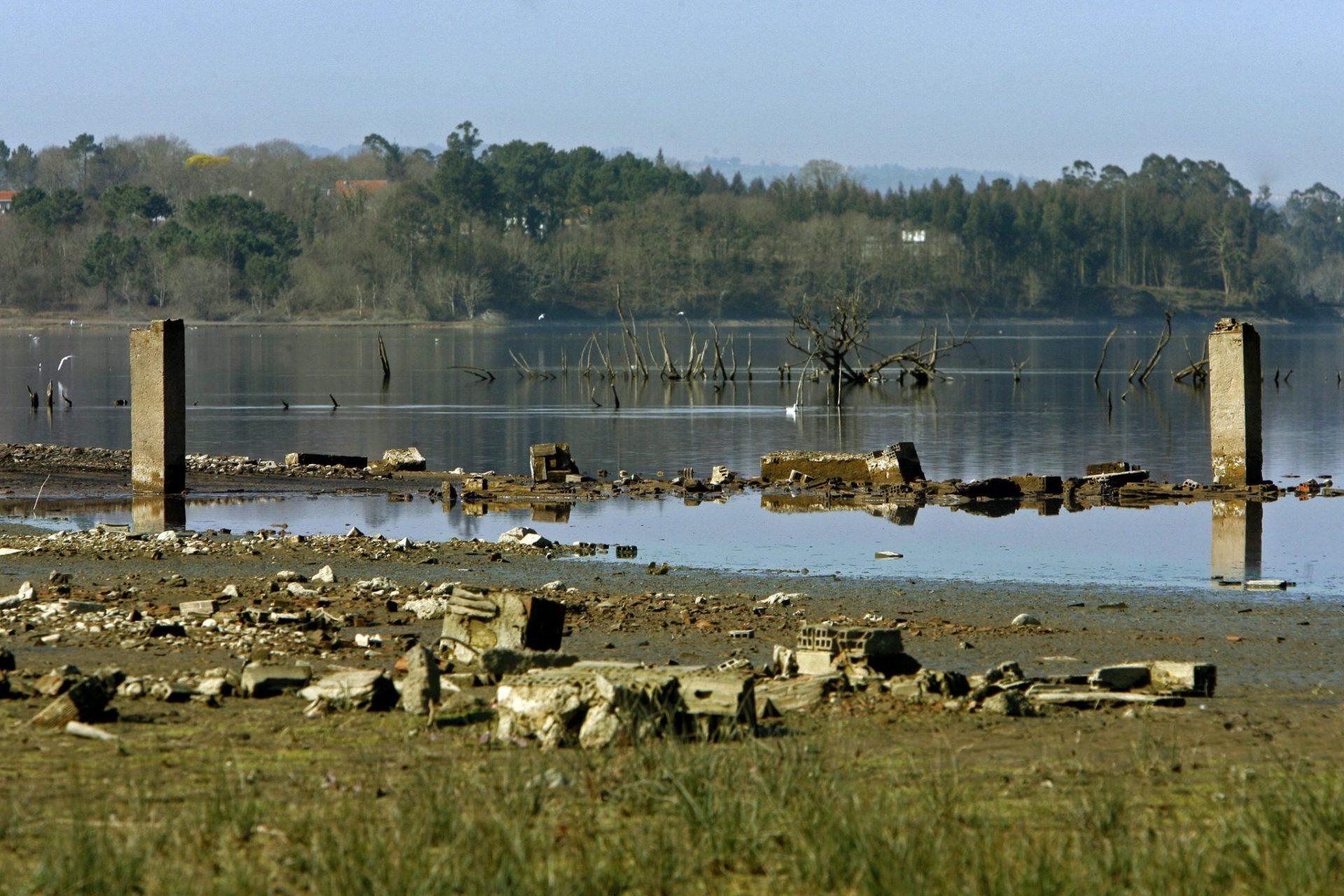 Cambio Climático