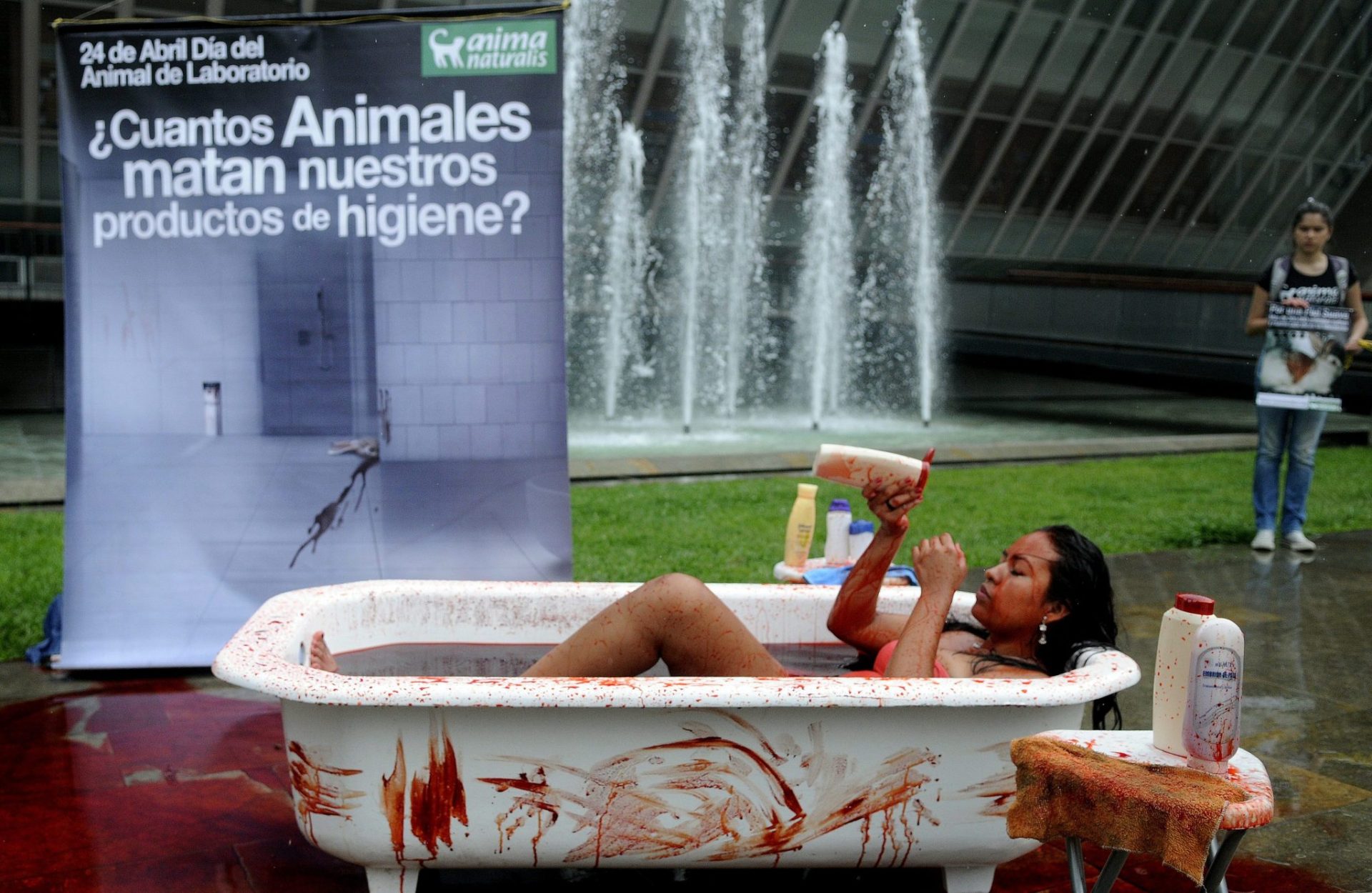  Una activista de la organización Animanaturalis protesta  en el Parque de las Luces de Medellín (Colombia), simulando bañarse en sangre para denunciar el uso de animales en la experimentación científica, en el marco del día del animal de laboratorio. EFE/LUIS EDUARDO NORIEGA