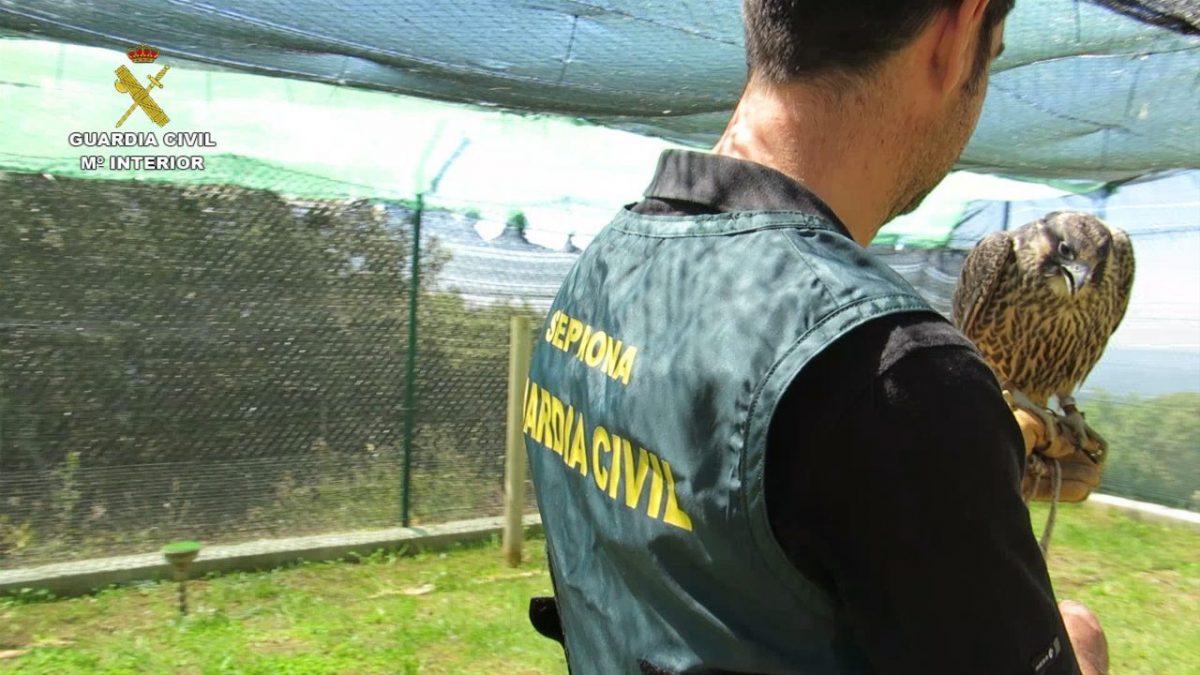 Cedida por la Guardia Civil