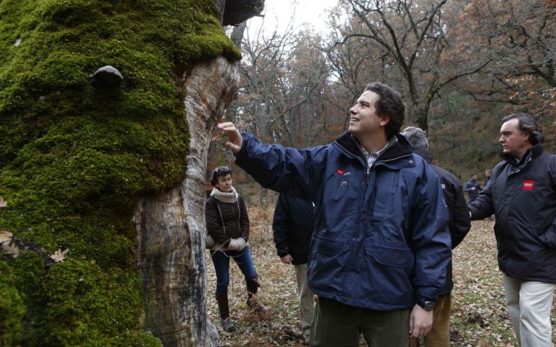 Fotografía facilitada por la Consejería de Medio Ambiente y Ordenación del Territorio de la Comunidad de Madrid de Consejero de Medio Ambiente, Borja Sarasola. EFE