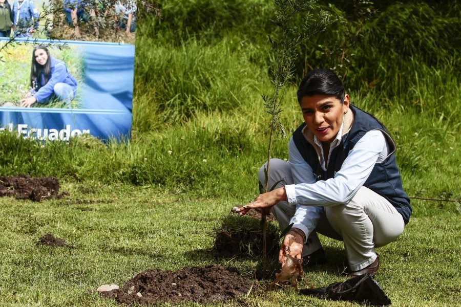 La ministra de Ambiente, Lorena Tapia, siembra un árbol en Quito (Ecuador).EFE/JoséJácome
