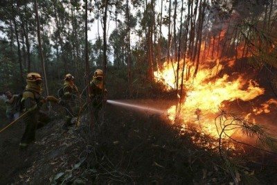  Las brigadas forestales intentan sofocar las llamas del incendio forestal de Arbo (Pontevedra). EFE/SXENICK