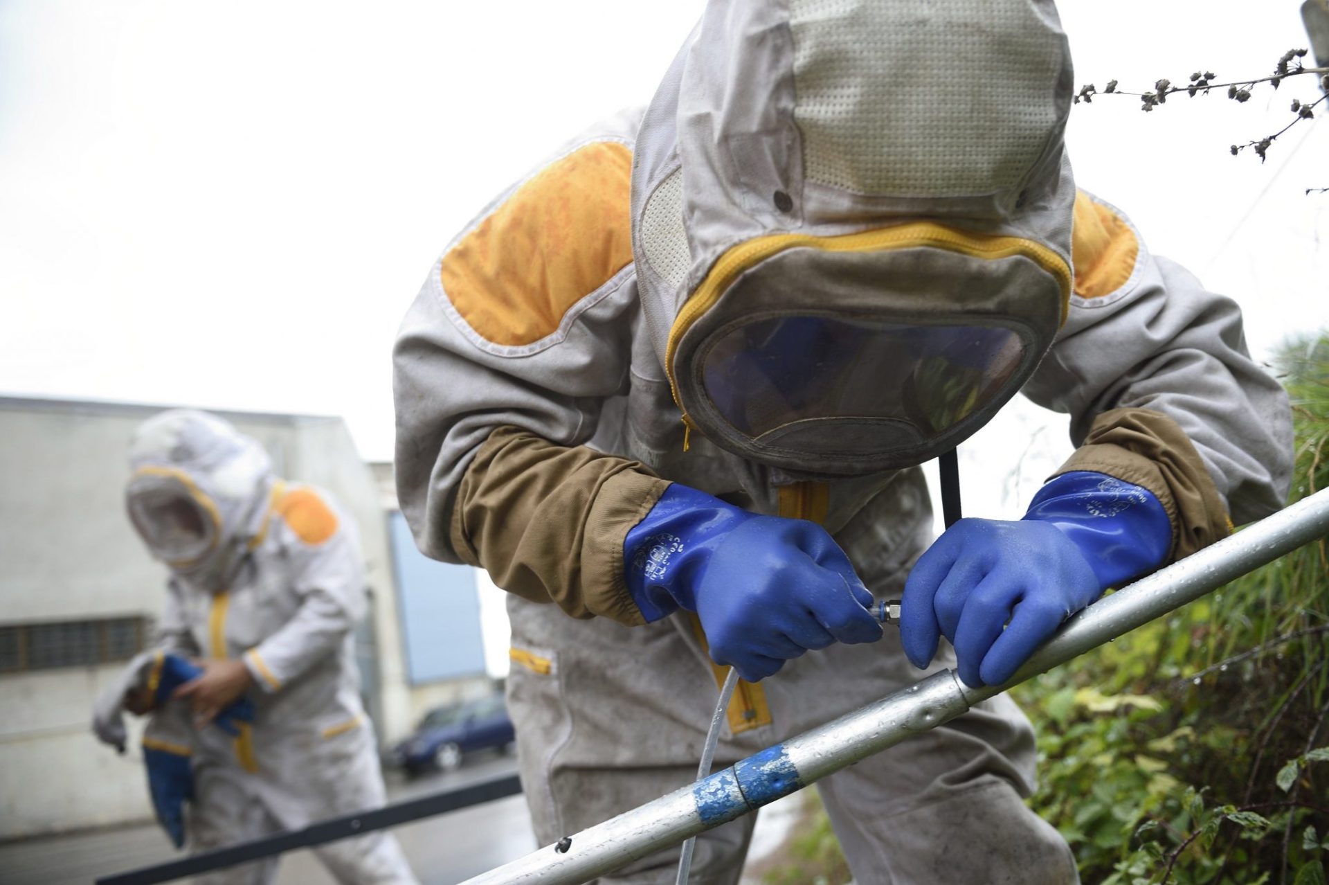 S004. SANTANDER (Cantabria), 13/8/2016.- Los servicios de retirada de nidos de avispa asiática, a través del teléfono de emergencias del 112, han registrado en Cantabria un incremento en sus actuaciones, con 126 avisperos eliminados en el municipio de Santander y 189 en núcleos urbanos de menos de 5.000 habitantes, o fuera de núcleo.En la foto, dos bomberos se preparan para retirar un nido de la Vespa Velutina preparando una pertiga con insecticida para introducir en el nido de la especie invasora, que pone en peligro el ciclo biológico de la abeja.EFE/ Pedro Puente Hoyos