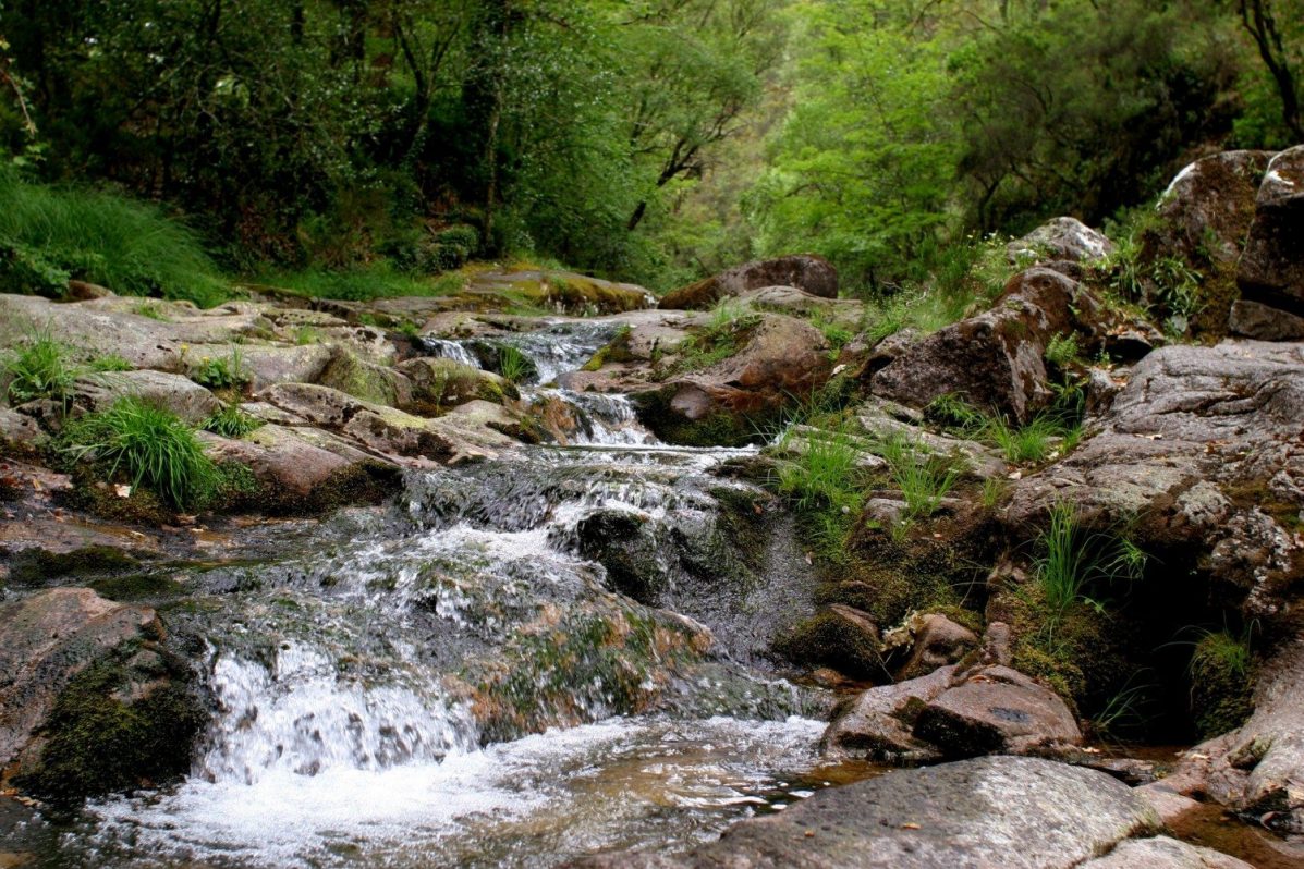 GRA025. LISBOA, 23/08/2016.- Fotografía facilitada por el Instituto de Conservación de la Naturaleza y los Bosques (ICNF), de una de las vistas del Parque Nacional de Peneda-Gerês, elegido como una de las siete maravillas naturales de Portugal, donde hasta el jugador del Real Madrid Cristiano Ronaldo tiene una propiedad. Con más de 70.000 hectáreas, el parque cuenta con una gran variedad de animales como la águila real, lobos, cabras montesas, anfibios, reptiles y topos de agua, y recibió alrededor de 86.000 visitantes en 2015. EFE/ ***SOLO USO EDITORIAL***