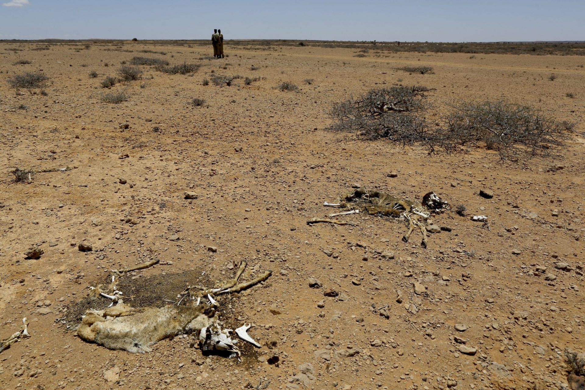 Somalia