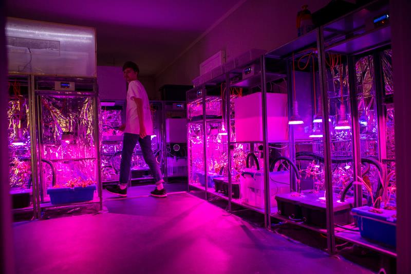 La obra del estudio de diseño especulativo Superflux, ''Mitigación del choque'' puede verse en el Centre de Cultura Contemporànica de Barcelona (CCCB) en la exposición "Después del fin del mundo", ideada como un ensayo sobre los efectos del cambio climático en el que participan artistas, escritores, diseñadores, arquitectos o filósofos que imaginan estrategias para sobrevivir en el futuro. EFE/Quique García