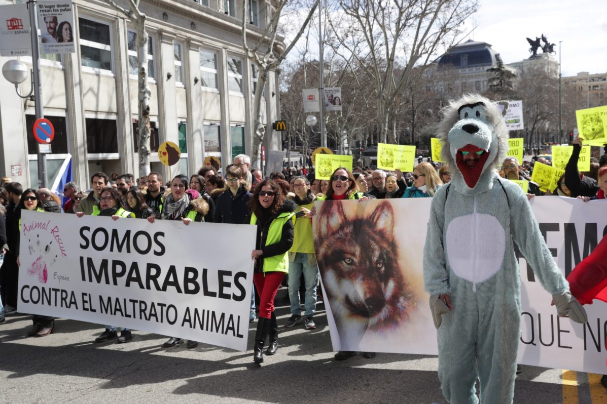 MANIFESTACIÓN EN APOYO del lobo
