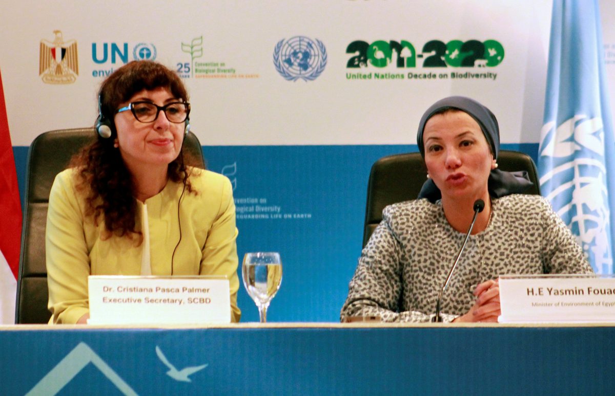 Cristiana Pasça Palmer (i) y Yasmine Fouad (d), durante la última rueda de prensa de la COP14 / EFE/Isaac J. Martín
