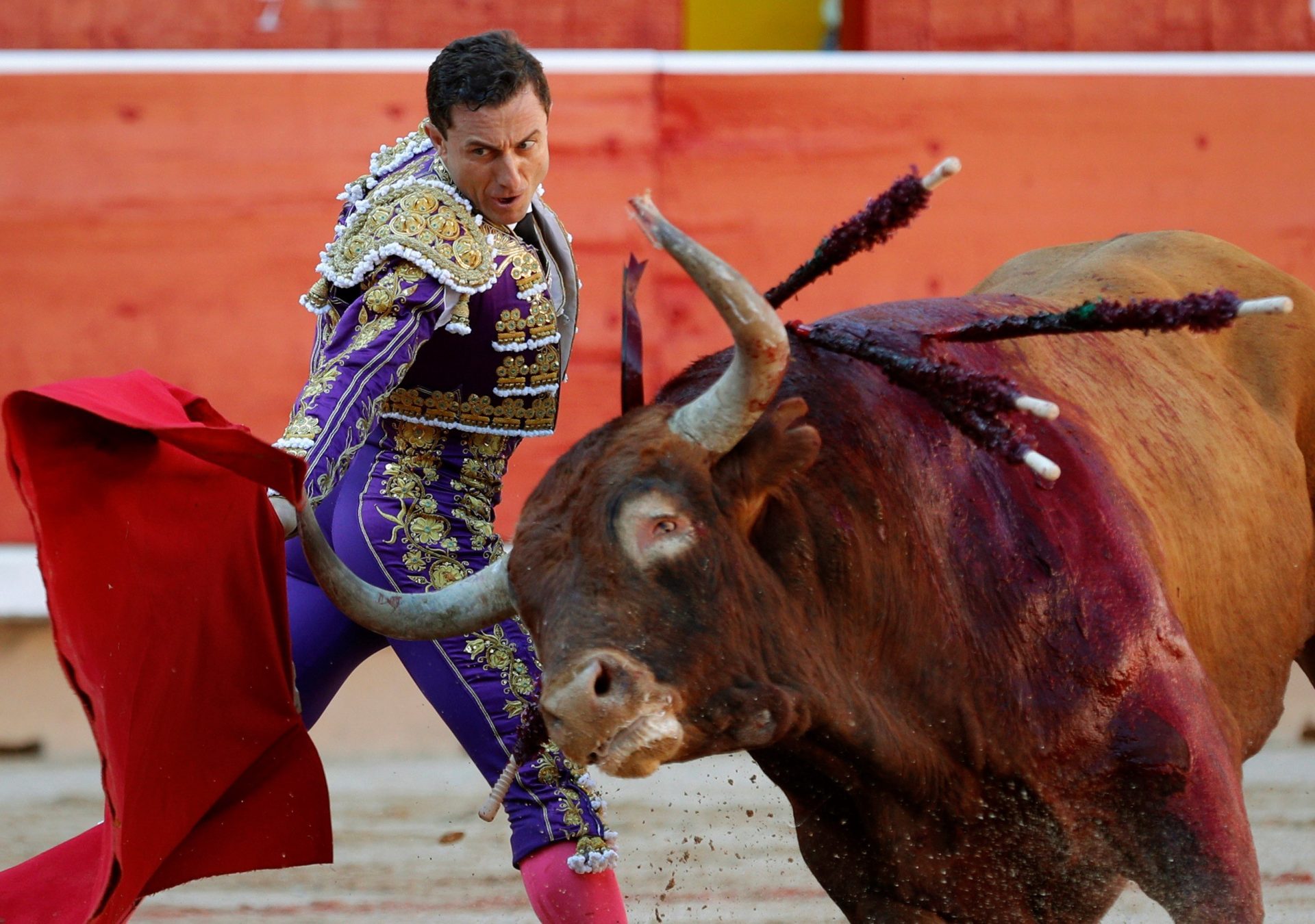 FERIA DEL TORO DE SANFERMÍN