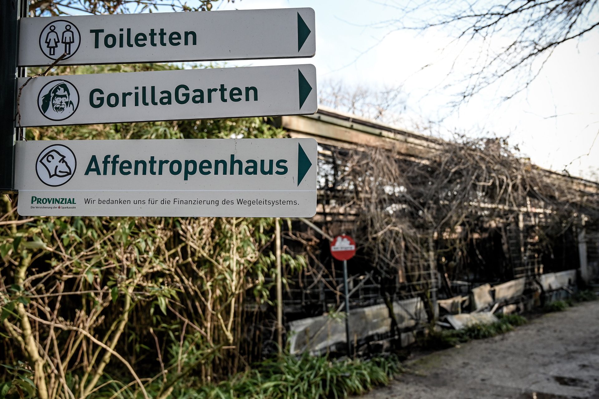 More than 30 animals die during a fire at the Krefeld Zoo in the New Year's night
