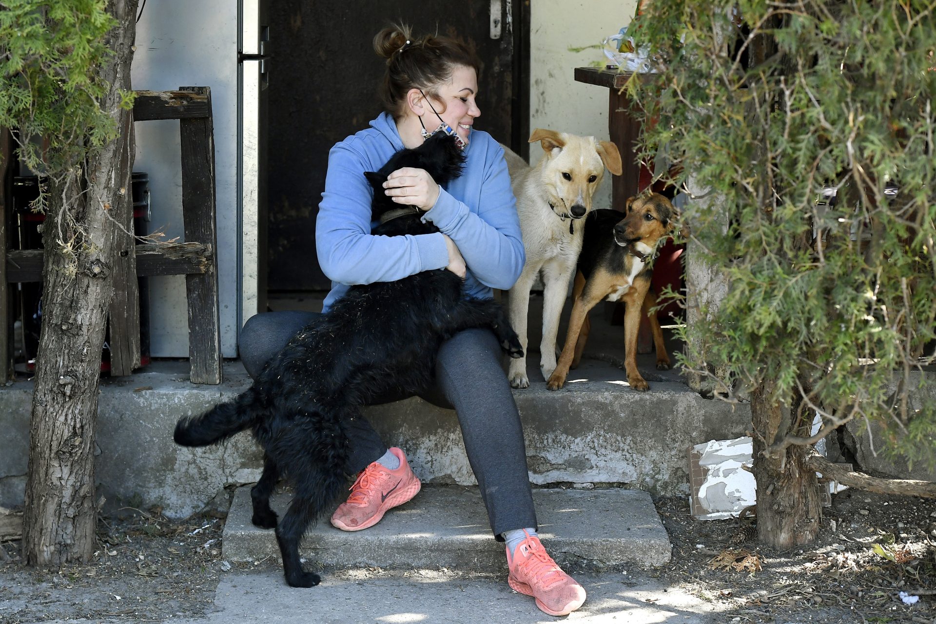 mascotas caricias besos