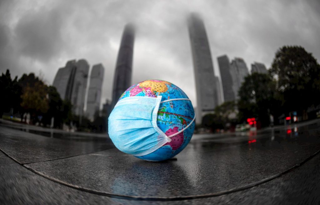 tierra biodiversidad