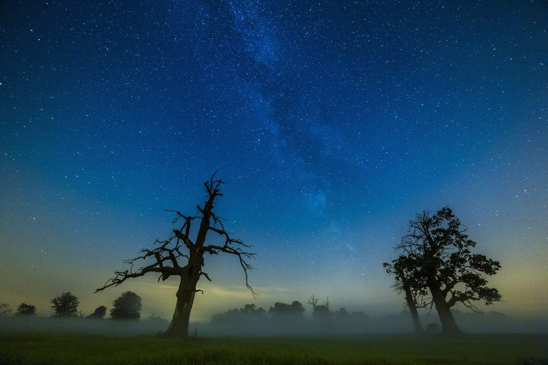 La Vía Láctea brilla sobre dos viejos roble en el área protegida de Rogalin landscape Park, cerca de Poznan, (Polonia).. EFE/Lukasz Ogrodowczyk 