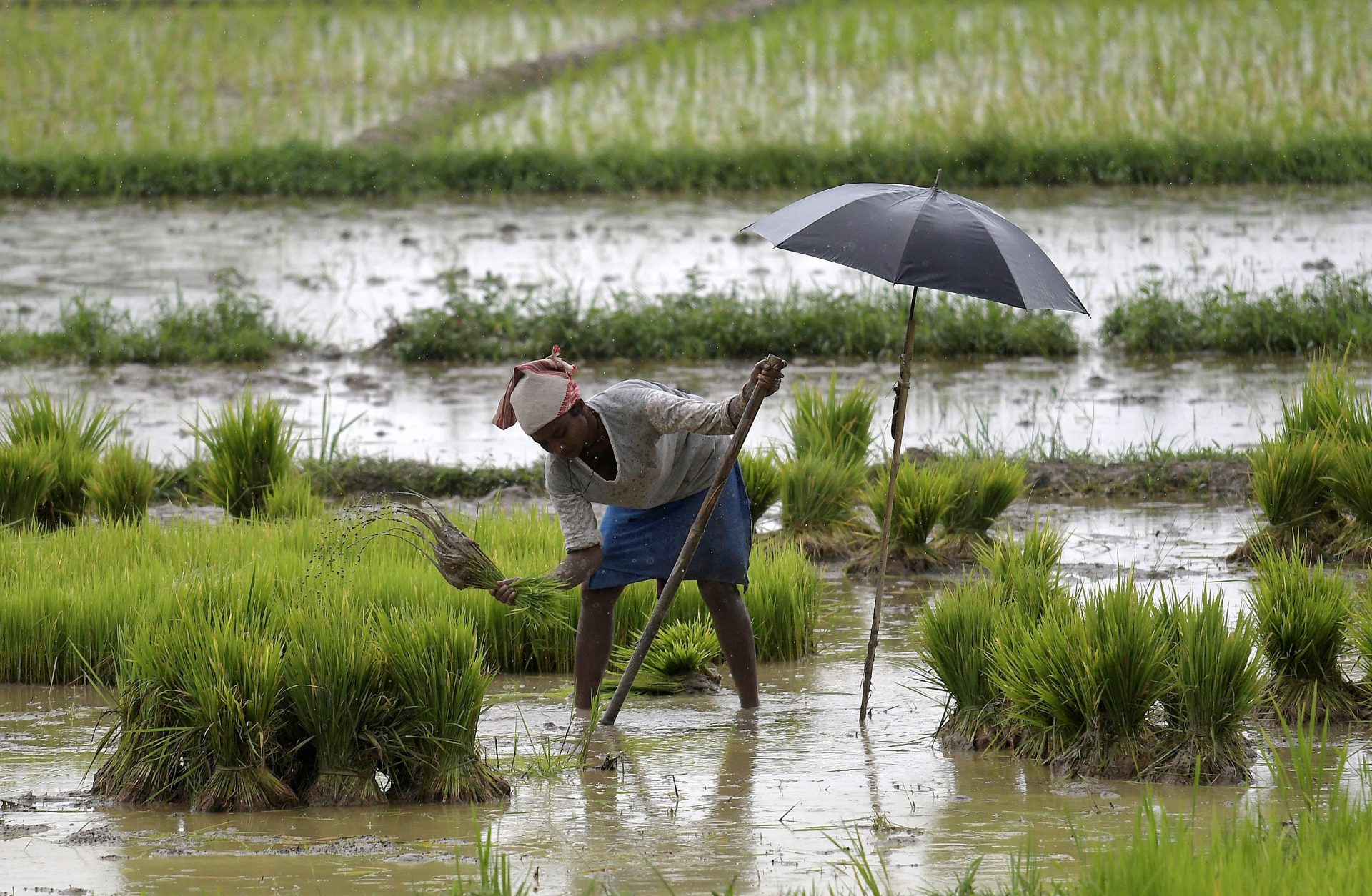 india inundaciones monzón