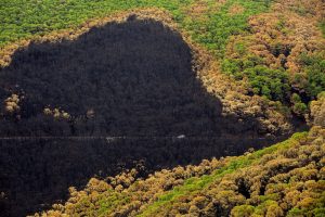 incendios medidas