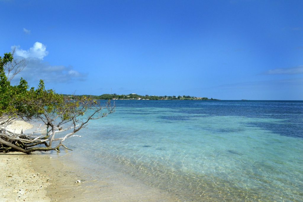 naturaleza beneficios económicos