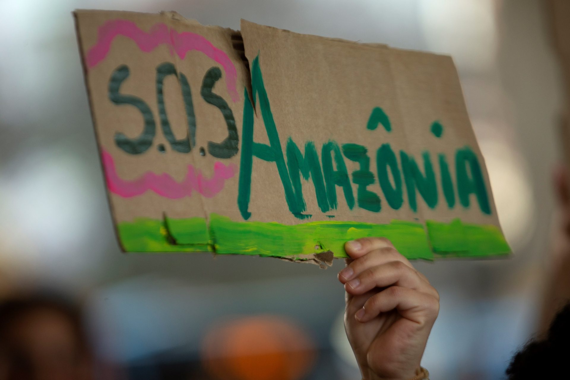 amazonia SOS