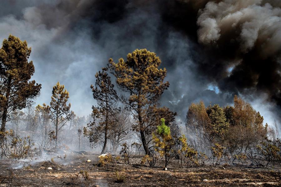 Imagen de archivo de incendio forestal. EFE/Archivo/Brais Lorenzo