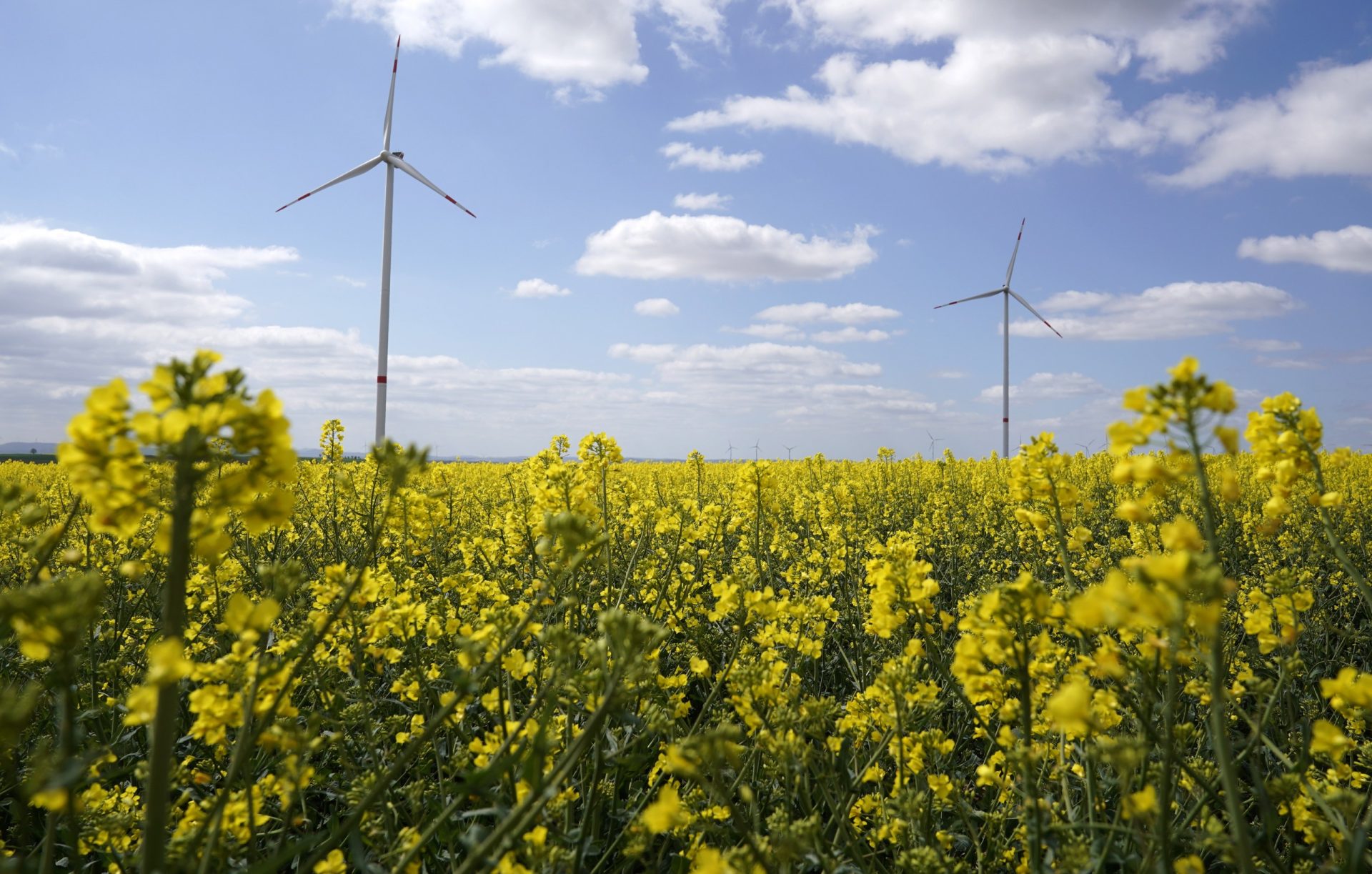 covid transición ecológica