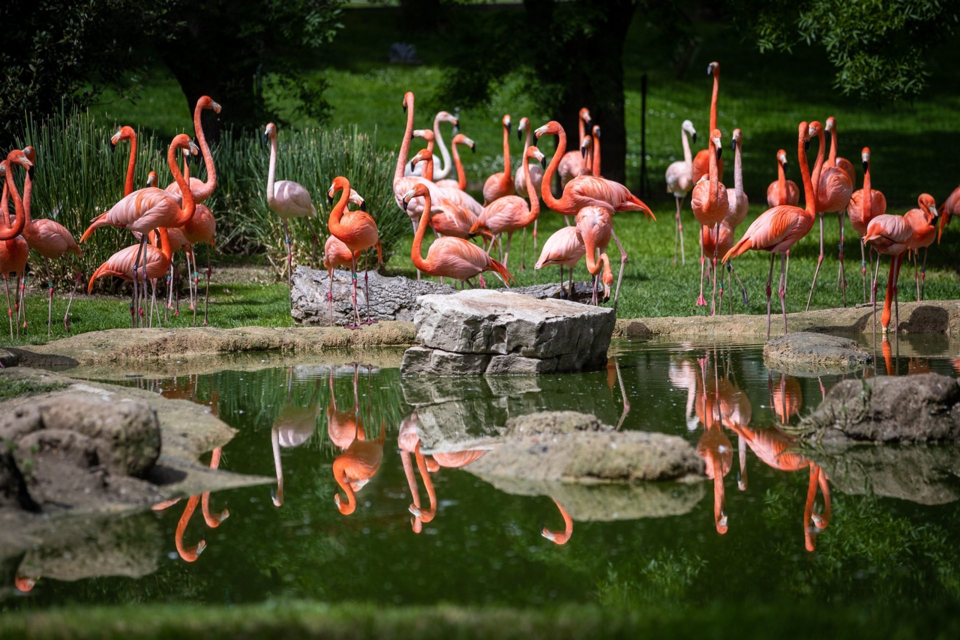 zoo parque atracciones