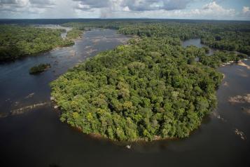amazonía selva